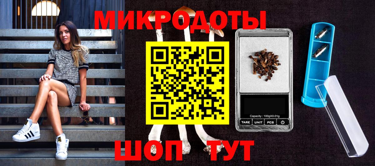 Псилоцибиновые грибы GOLDEN TEACHER  Вход с VPN  Хабаровск 